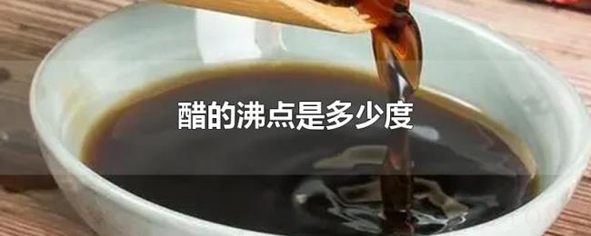 醋的沸点是多少度