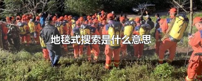 地毯式搜索是什么意思 地毯式搜索是什么意思