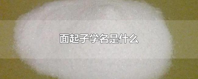 面起子学名是什么