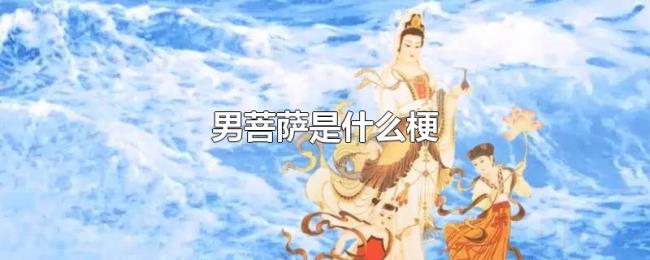 男菩萨是什么梗