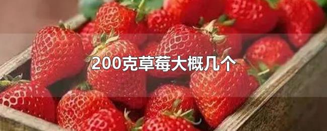 200克草莓大概几个 200克草莓大概几个