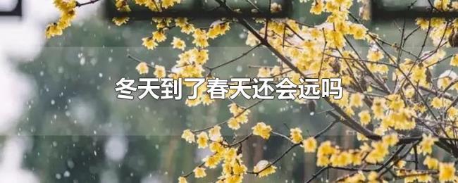 冬天到了春天还会远吗