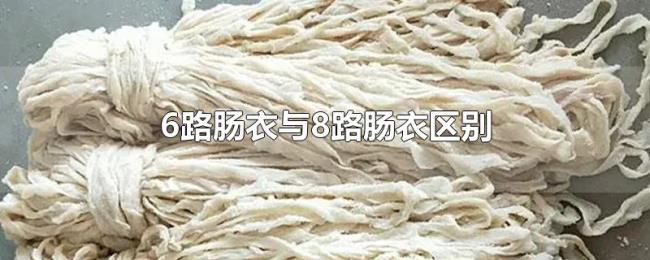 6路肠衣与8路肠衣区别 6路肠衣与8路肠衣区别