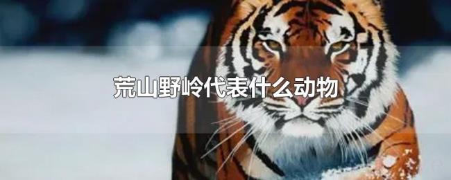 荒山野岭代表什么动物 荒山野岭代表什么动物