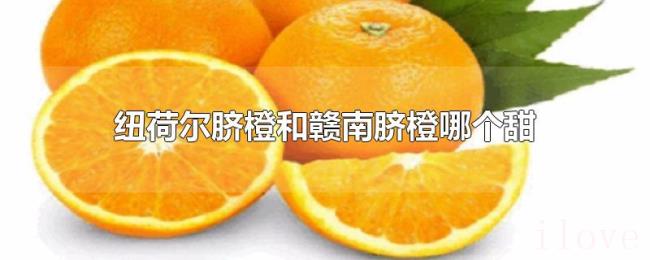 纽荷尔脐橙和赣南脐橙哪个甜
