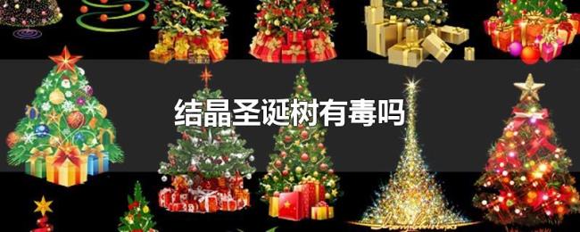 结晶圣诞树有毒吗 结晶圣诞树有毒吗