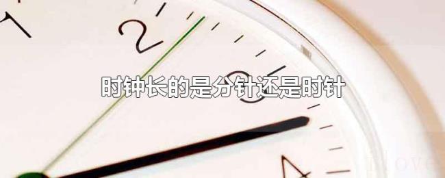 时钟长的是分针还是时针