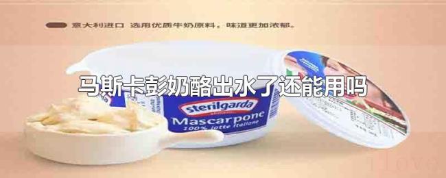 马斯卡彭奶酪出水了还能用吗 马斯卡彭奶酪出水了还能用吗