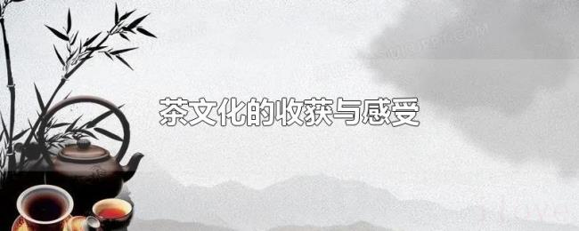 茶文化的收获与感受 茶文化的收获与感受