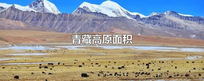 青藏高原面积