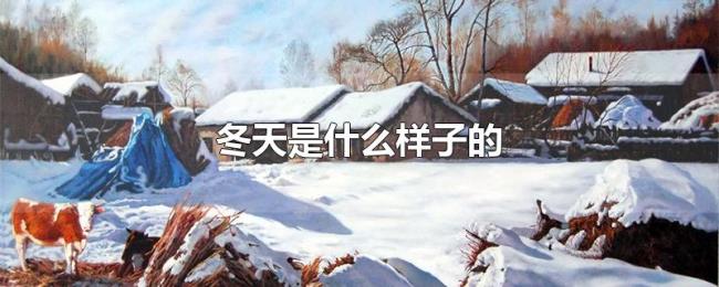 冬天是什么样子的