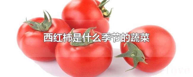 西红柿是什么季节的蔬菜
