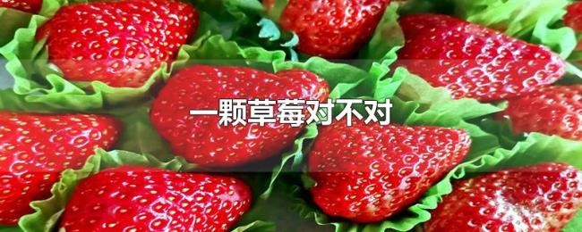 一颗草莓对不对
