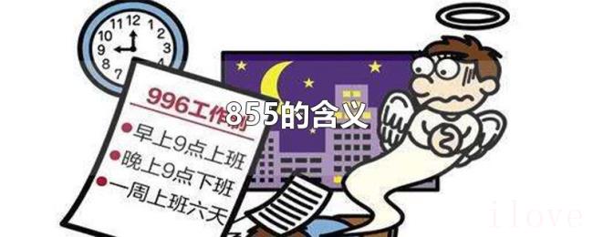 855的含义 855的含义