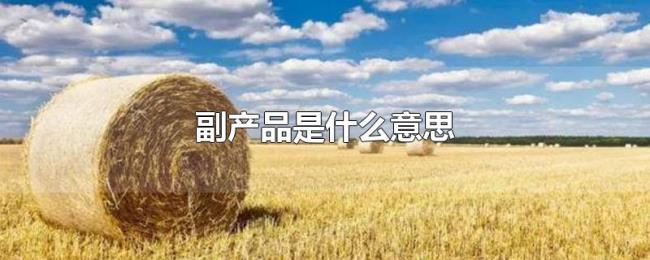 副产品是什么意思 副产品是什么意思