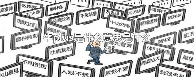 牛plus是什么意思是什么 牛plus是什么意思是什么