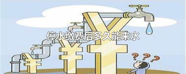 停水缴费后多久能来水 停水缴费后多久能来水