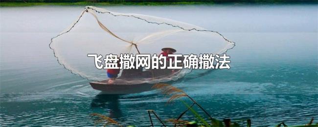 飞盘撒网的正确撒法