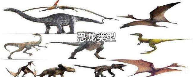 恐龙类型