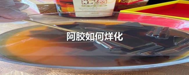 阿胶如何烊化