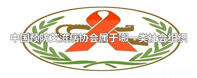 中国预防艾滋病协会属于哪一类社会组织
