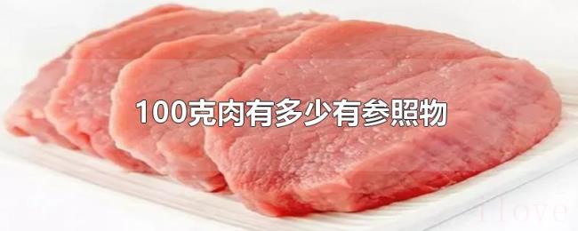 100克肉有多少有参照物