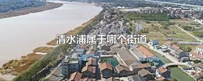 清水浦属于哪个街道