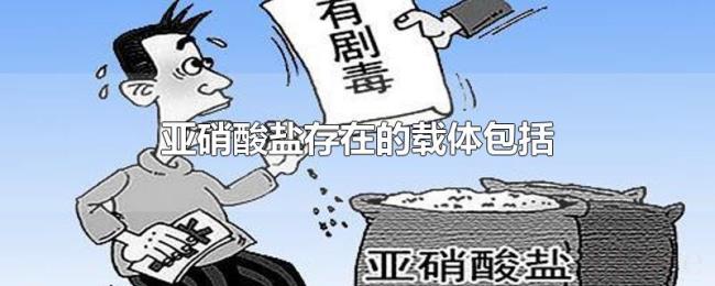 亚硝酸盐存在的载体包括