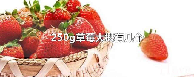 250g草莓大概有几个