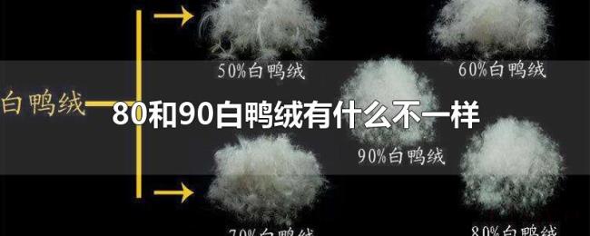 80和90白鸭绒有什么不一样