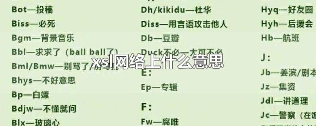 xsl网络上什么意思