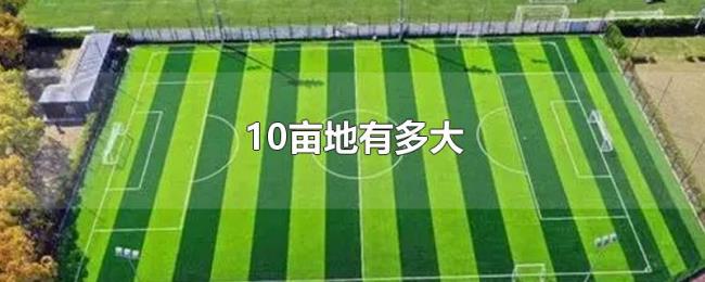 10亩地有多大
