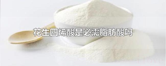 花生四烯酸是必需脂肪酸吗