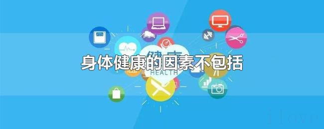 身体健康的因素不包括