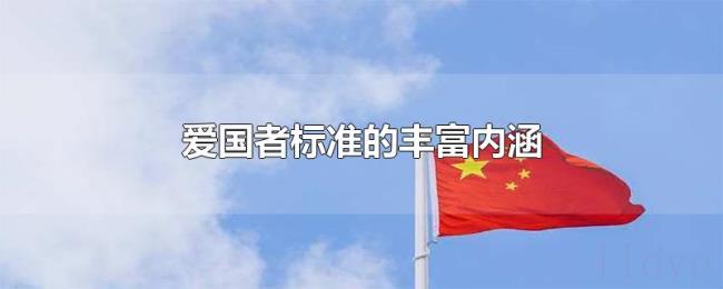 爱国者标准的丰富内涵 爱国者标准的丰富内涵