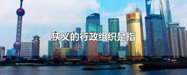 狭义的行政组织是指