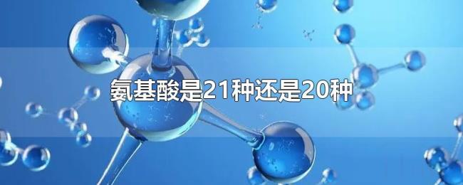 氨基酸是21种还是20种