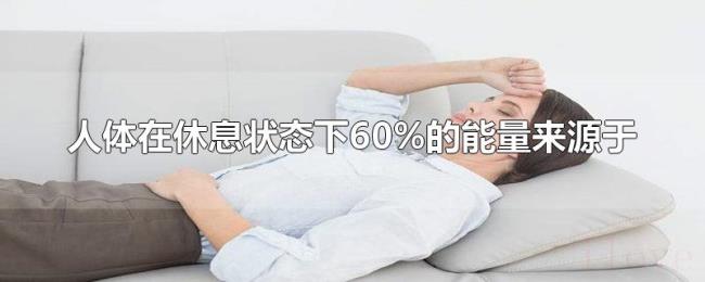 人体在休息状态下60%的能量来源于