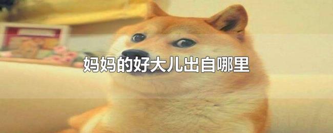 妈妈的好大儿出自哪里