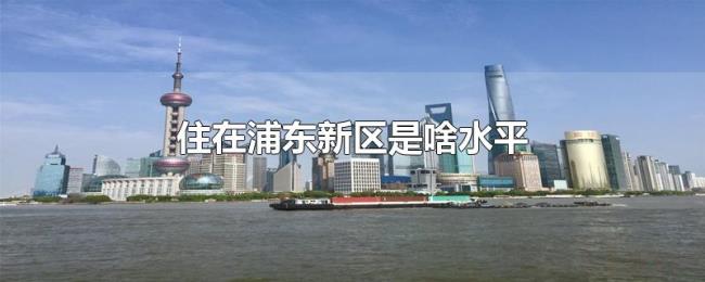 住在浦东新区是啥水平