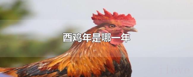 酉鸡年是哪一年