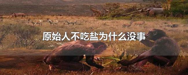 原始人不吃盐为什么没事 原始人不吃盐为什么没事