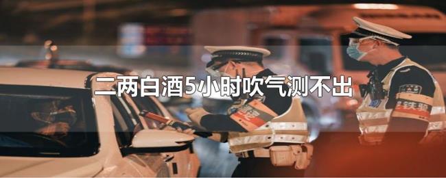 二两白酒5小时吹气测不出 二两白酒5小时吹气测不出