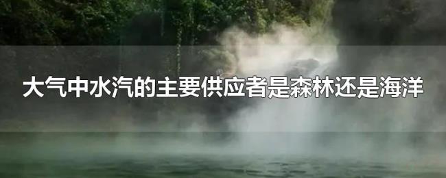 大气中水汽的主要供应者是森林还是海洋