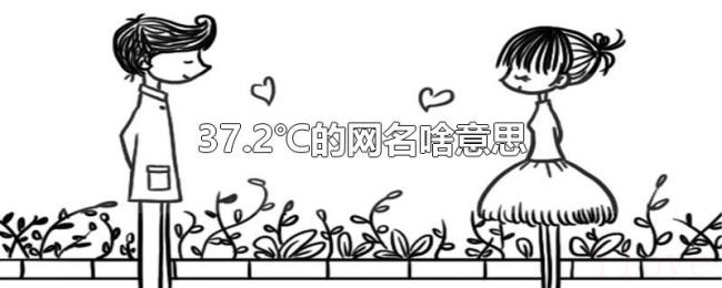 37.2℃的网名啥意思 37.2℃的网名啥意思