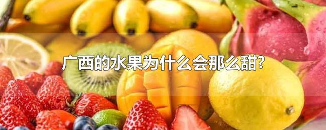 广西的水果为什么会那么甜?