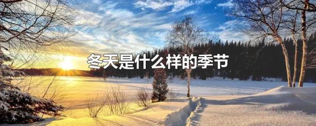 冬天是什么样的季节 冬天是什么样的季节