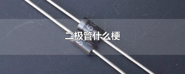 二极管什么梗 二极管什么梗