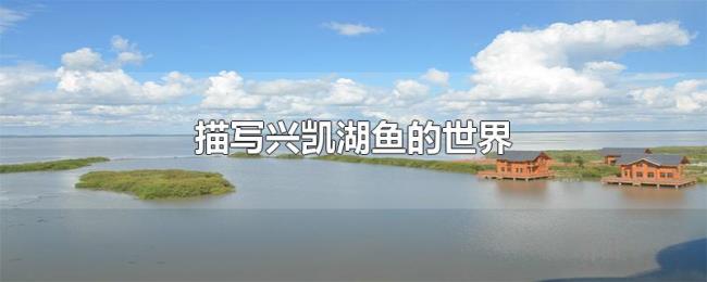 描写兴凯湖鱼的世界 描写兴凯湖鱼的世界