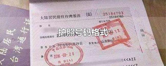 护照号码格式